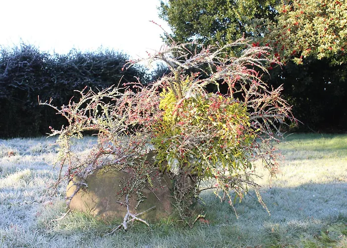 Le Clos Castel 3* Raids